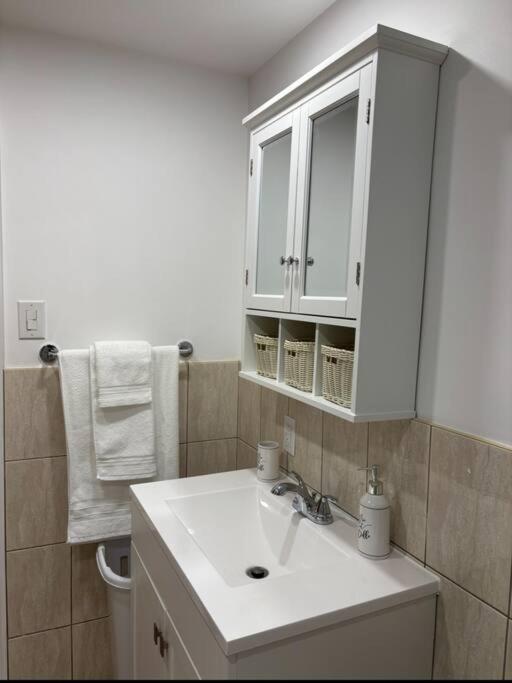 Cozy Spacious Work Friendly Lotus With Garden View High Speed Free Wi Fi And Parking Adjacent To Downtown Монреаль Екстер'єр фото