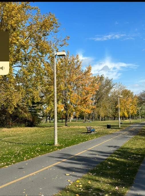 Cozy Spacious Work Friendly Lotus With Garden View High Speed Free Wi Fi And Parking Adjacent To Downtown Монреаль Екстер'єр фото