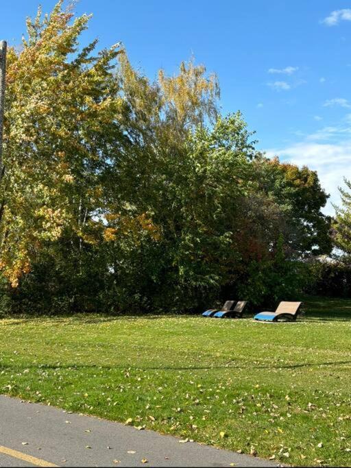 Cozy Spacious Work Friendly Lotus With Garden View High Speed Free Wi Fi And Parking Adjacent To Downtown Монреаль Екстер'єр фото